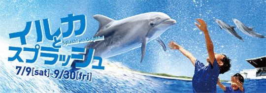 %e3%81%84%e3%82%8b%e3%81%8b