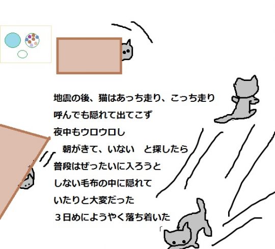 ねこたま